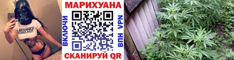 Шишки марихуана сатива  где купить наркоту  Ядрин 